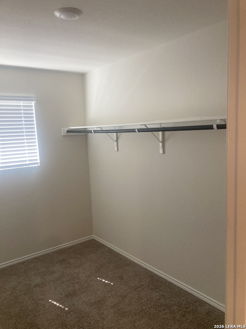 3110 Tule Creek San Antonio TX 78245