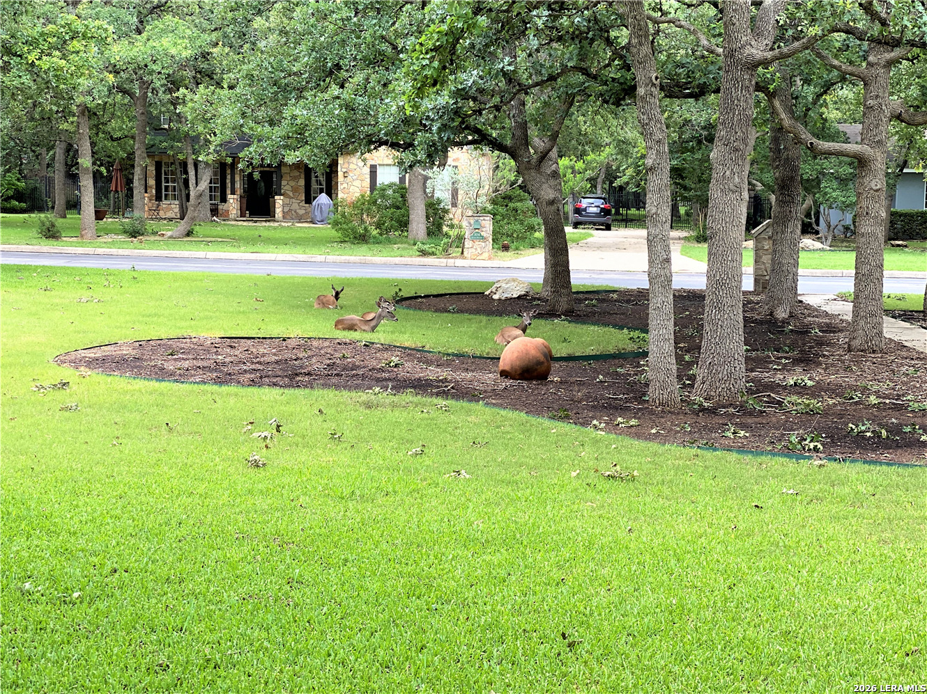 305 Kendall Parkway Boerne TX 78015