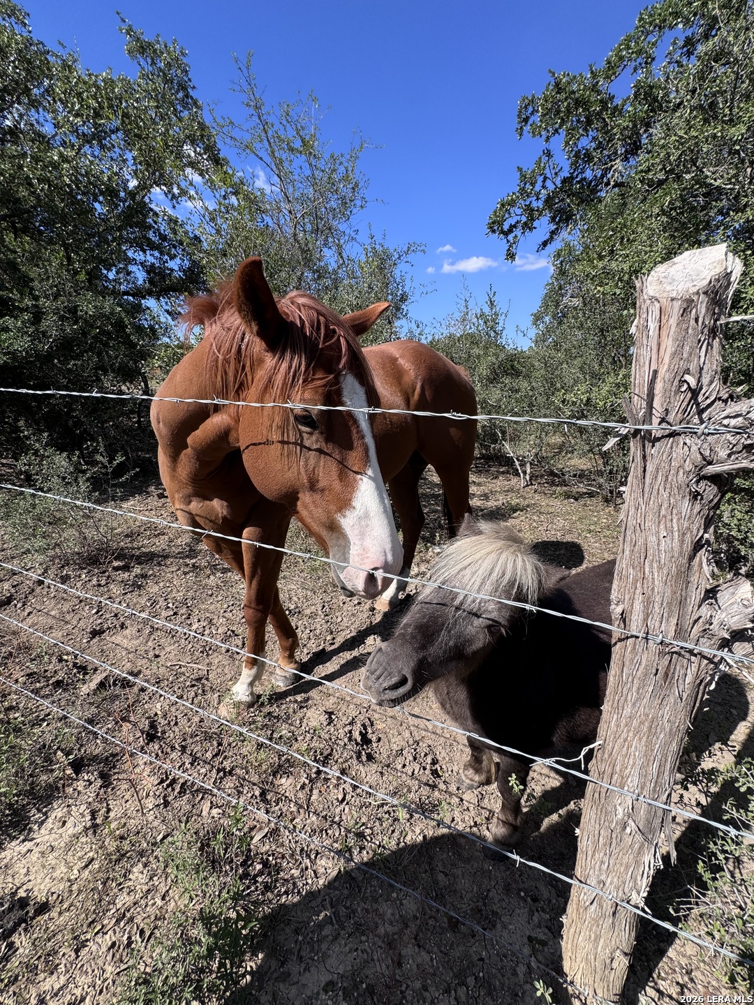 3761 Forest Trail Drive Bandera TX 78003
