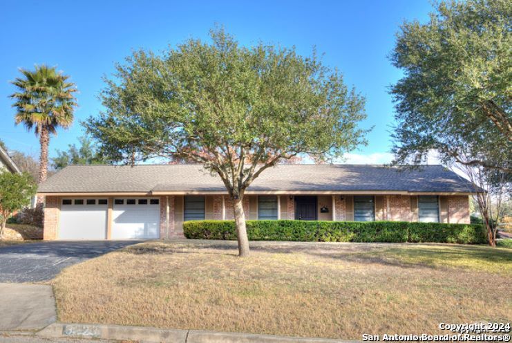 3223 Oakleaf Drive San Antonio TX 78209