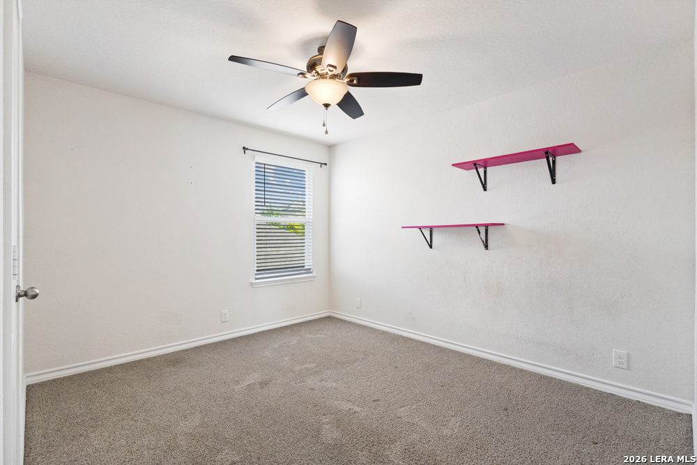 187 Scarlet Macaw San Antonio TX 78253
