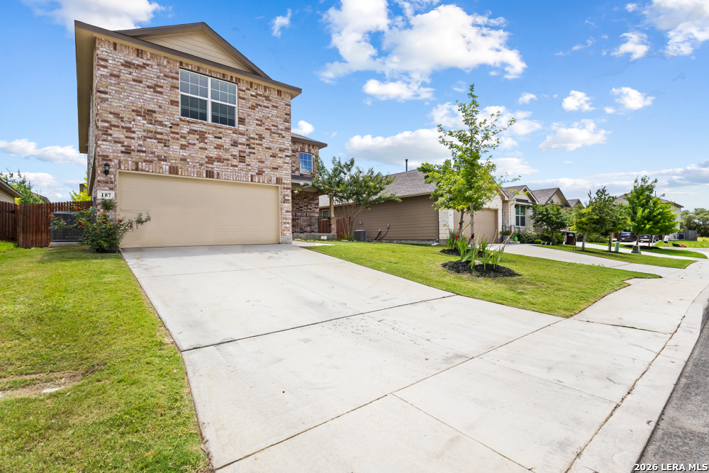 187 Scarlet Macaw San Antonio TX 78253