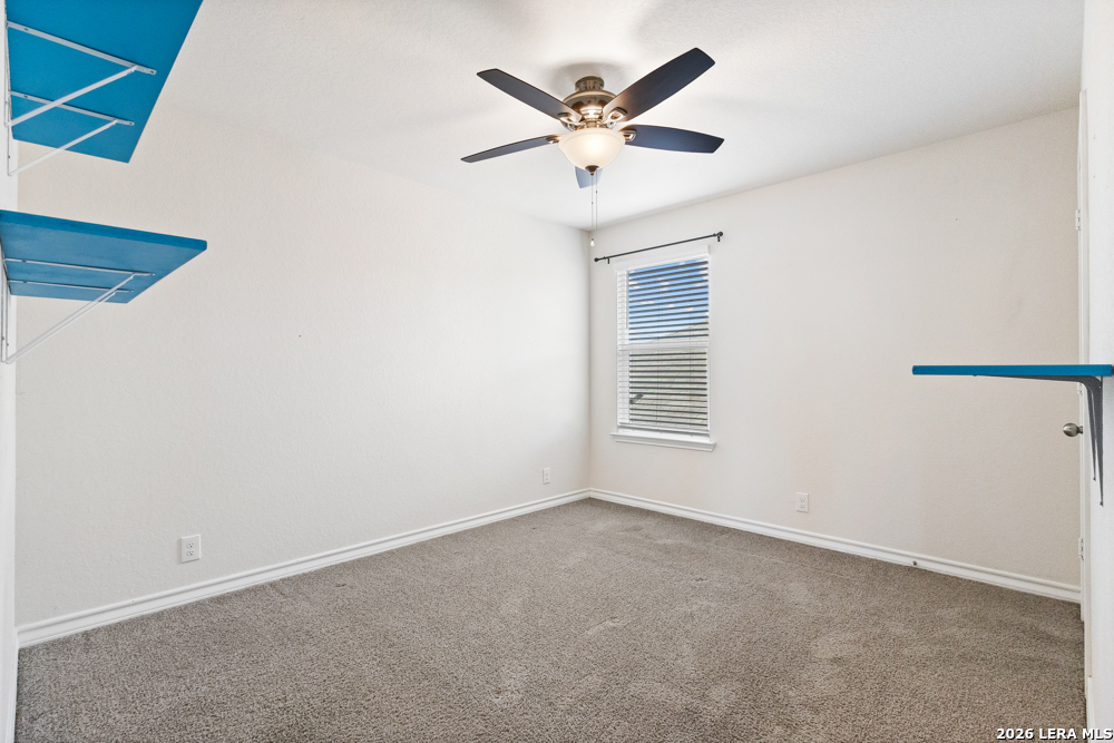187 Scarlet Macaw San Antonio TX 78253