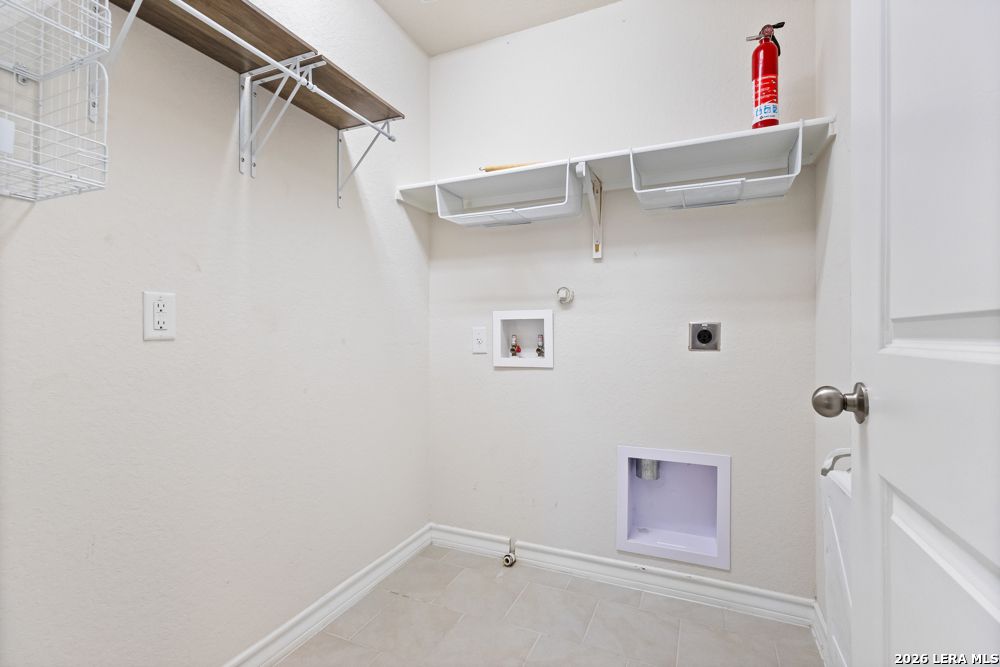 187 Scarlet Macaw San Antonio TX 78253