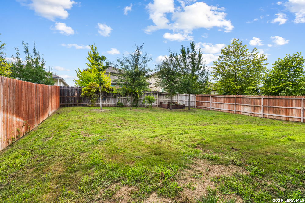 187 Scarlet Macaw San Antonio TX 78253
