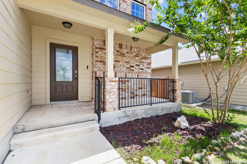 187 Scarlet Macaw San Antonio TX 78253