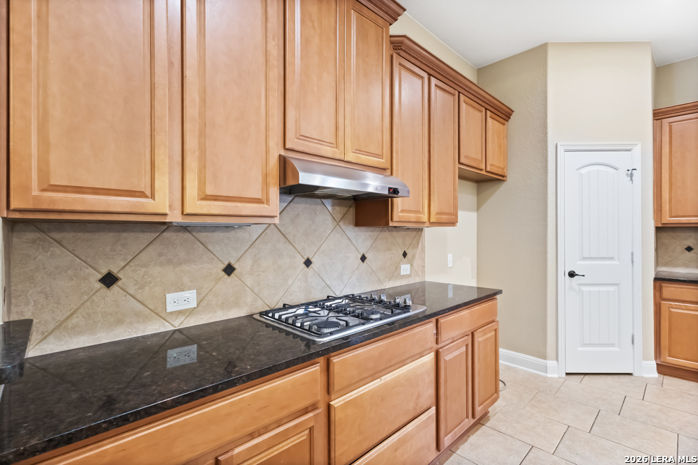 12522 Lexi Petal San Antonio TX 78253