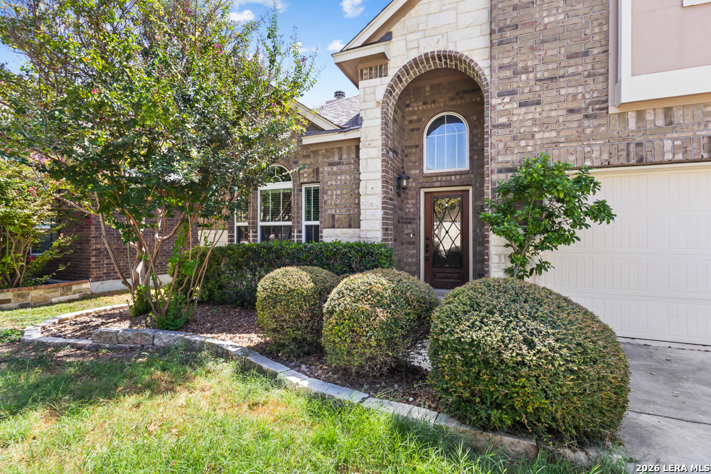 12522 Lexi Petal San Antonio TX 78253