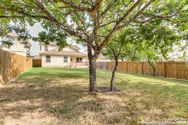 11722 Caraway Hill San Antonio TX 78245