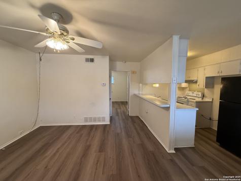 163 Richter New Braunfels TX 78130