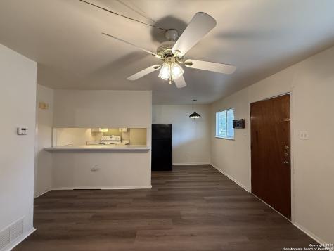 163 Richter New Braunfels TX 78130