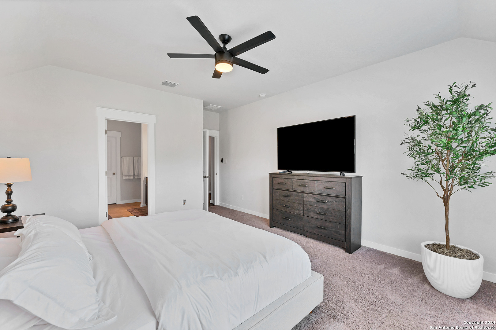 4323 W Vasquez Circle Converse TX 78109