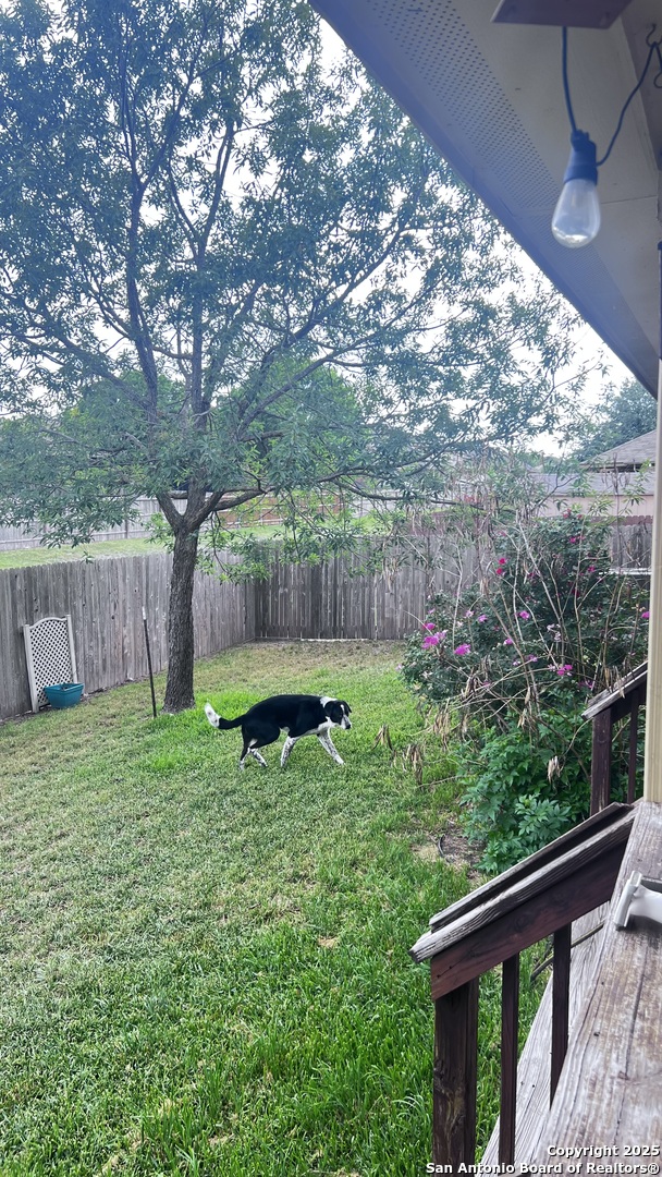 409 Carrick Court Cibolo TX 78108