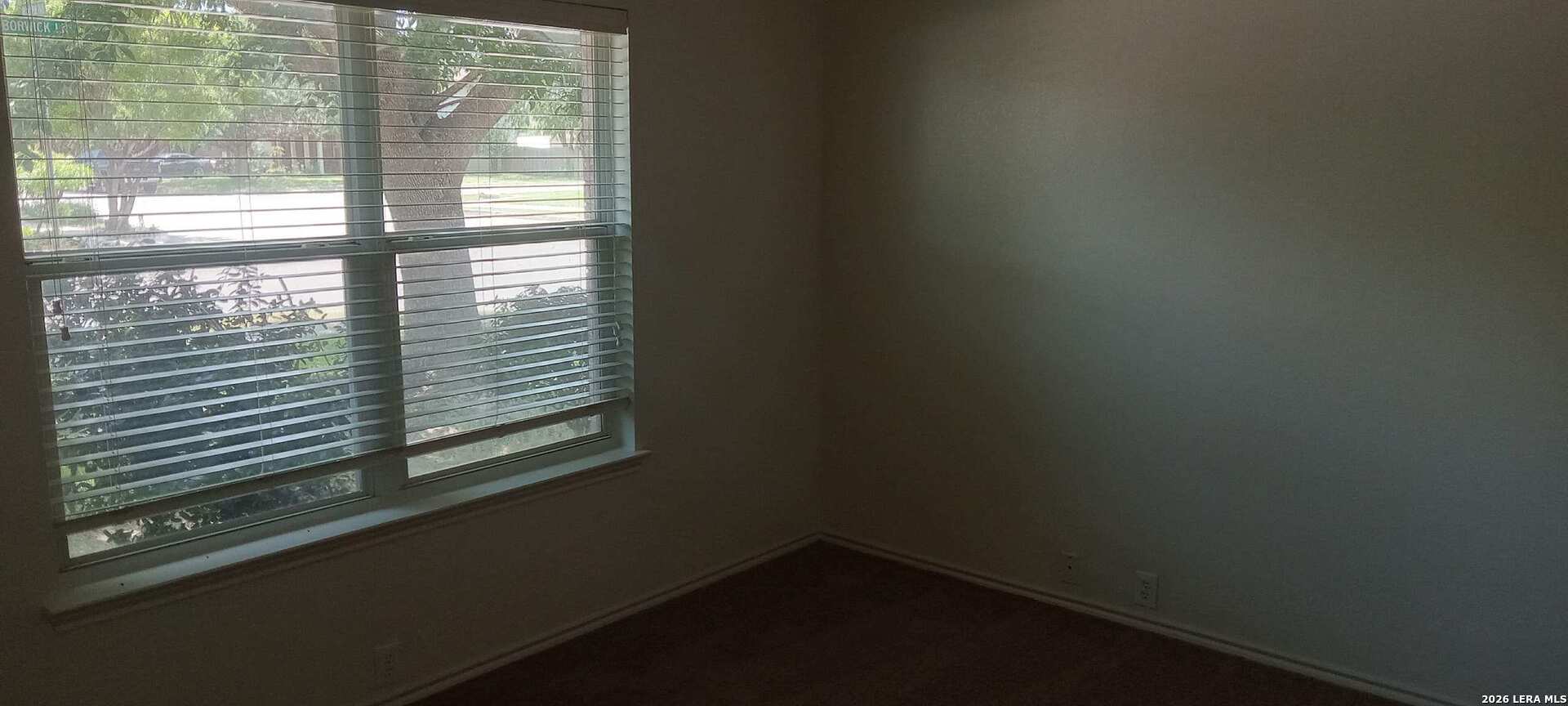 15803 Borwick Lane Selma TX 78154