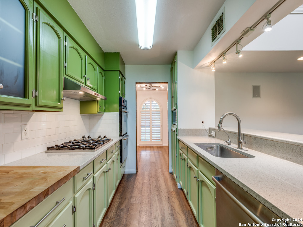 2702 Roundleaf Court San Antonio TX 78231