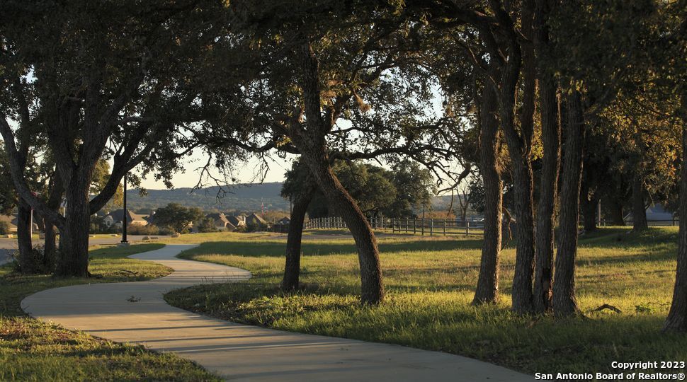 32142 Escarole Bend Bulverde TX 78163