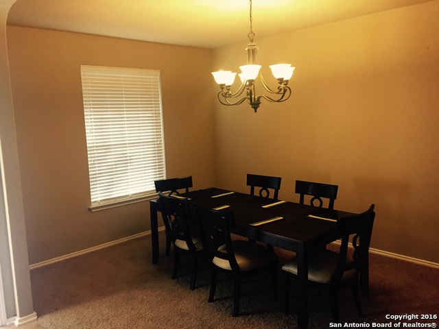 237 Crimson Tree Cibolo TX 78108
