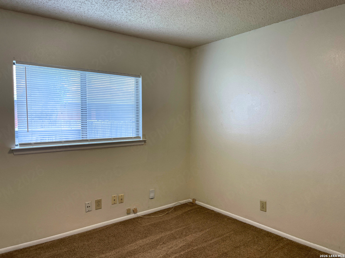 6439 Beech Trail Drive Converse TX 78109