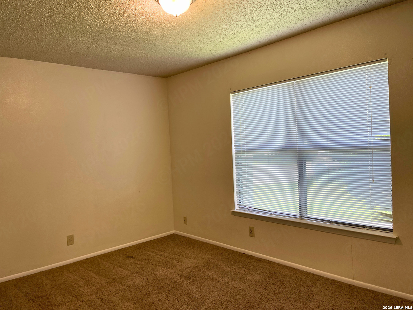 6439 Beech Trail Drive Converse TX 78109
