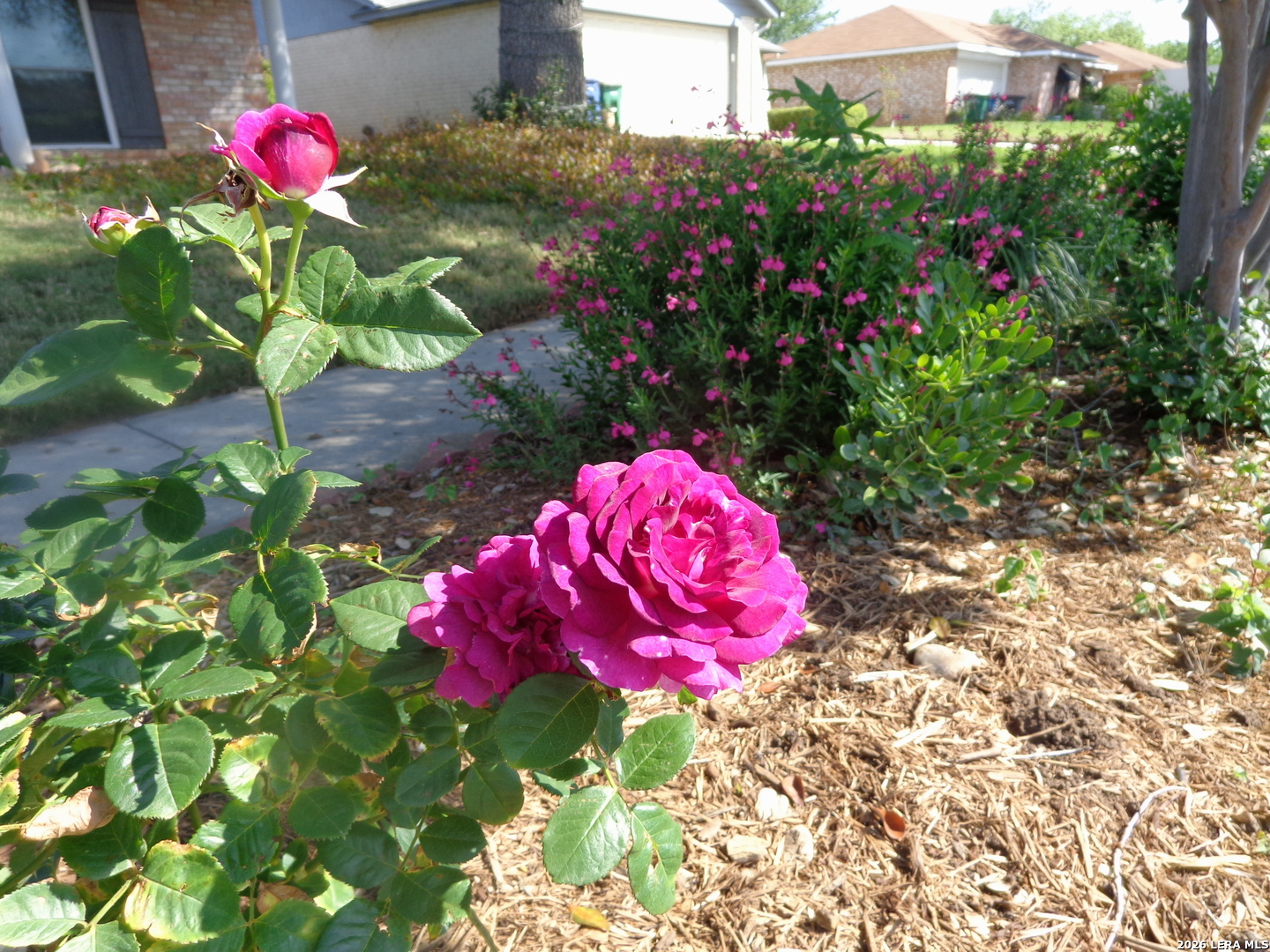 5511 Eaglewood Street San Antonio TX 78233