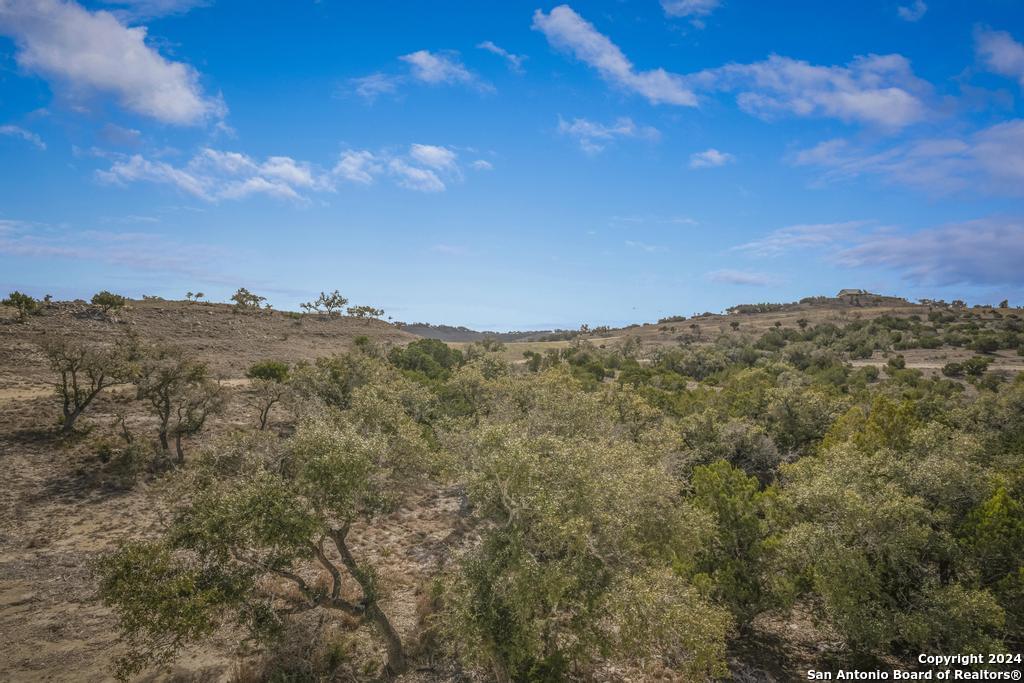585 N Scenic Hills Blanco TX 78606