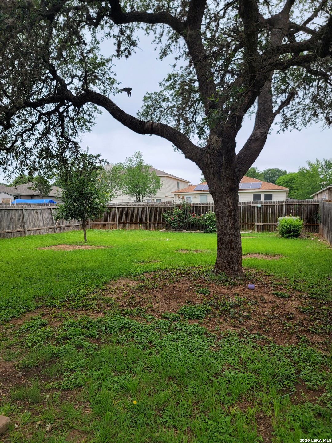 4023 Wisteria San Antonio TX 78259
