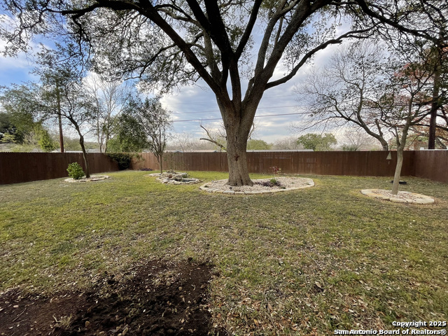 427 Indigo San Antonio TX 78216