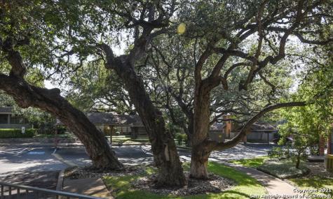 7 Chapel Hill Circle San Antonio TX 78240