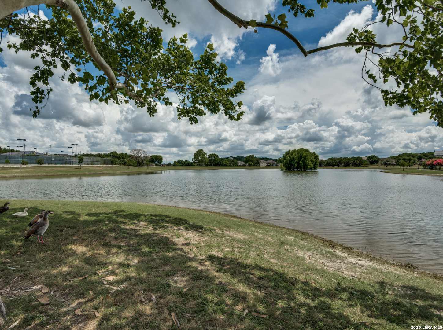 803 Silent Hollow San Antonio TX 78260