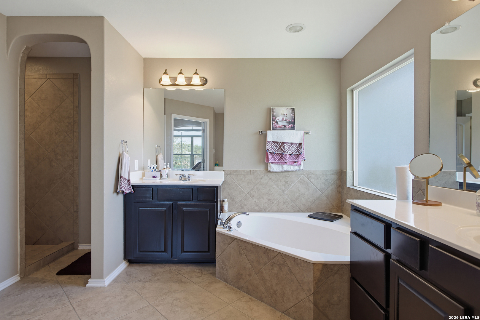 446 Redbird Chase San Antonio TX 78253
