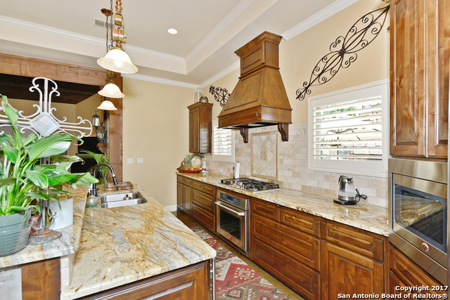1223 Gruene Valley Circle New Braunfels TX 78130