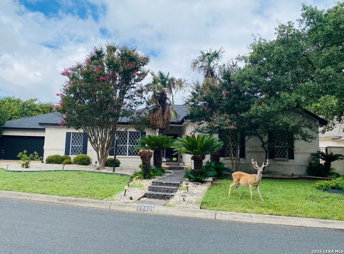 29403 Fairway Bluff Drive Fair Oaks Ranch TX 78015