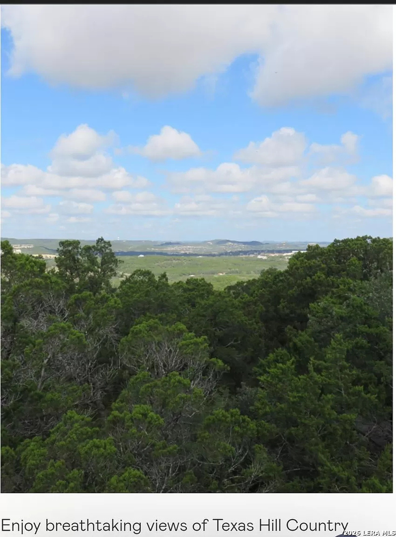 31663 Meander Lane Bulverde TX 78163