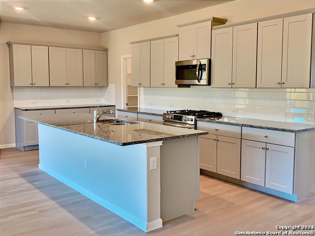 32125 Morels Avenue Bulverde TX 78163