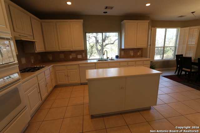 21010 Wild Springs Drive San Antonio TX 78258