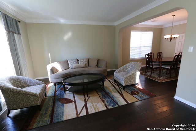 21010 Wild Springs Drive San Antonio TX 78258