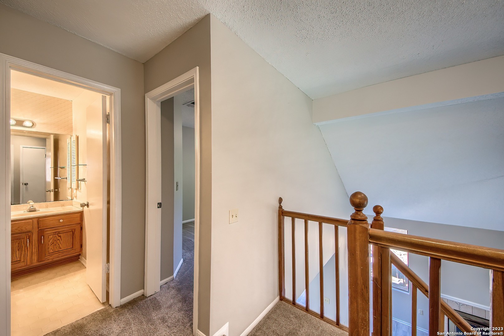 16615 Spruce Tree Lane San Antonio TX 78247