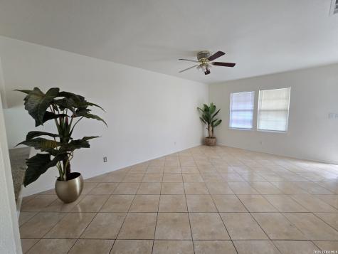 1803 White Magnolia San Antonio TX 78227