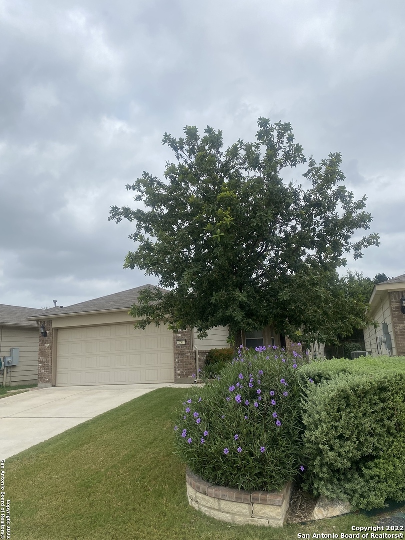 12815 Sand Holly San Antonio TX 78253