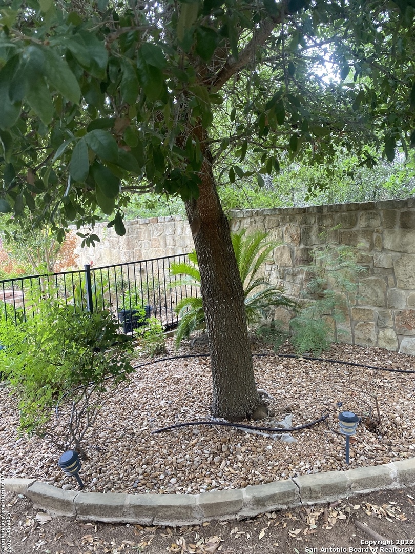 12815 Sand Holly San Antonio TX 78253