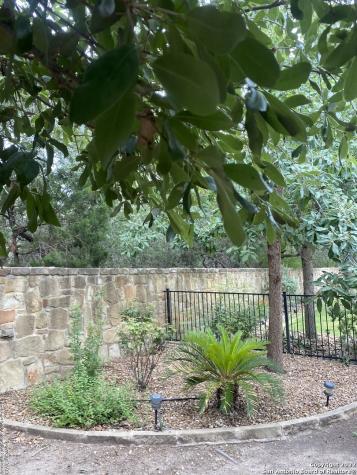 12815 Sand Holly San Antonio TX 78253