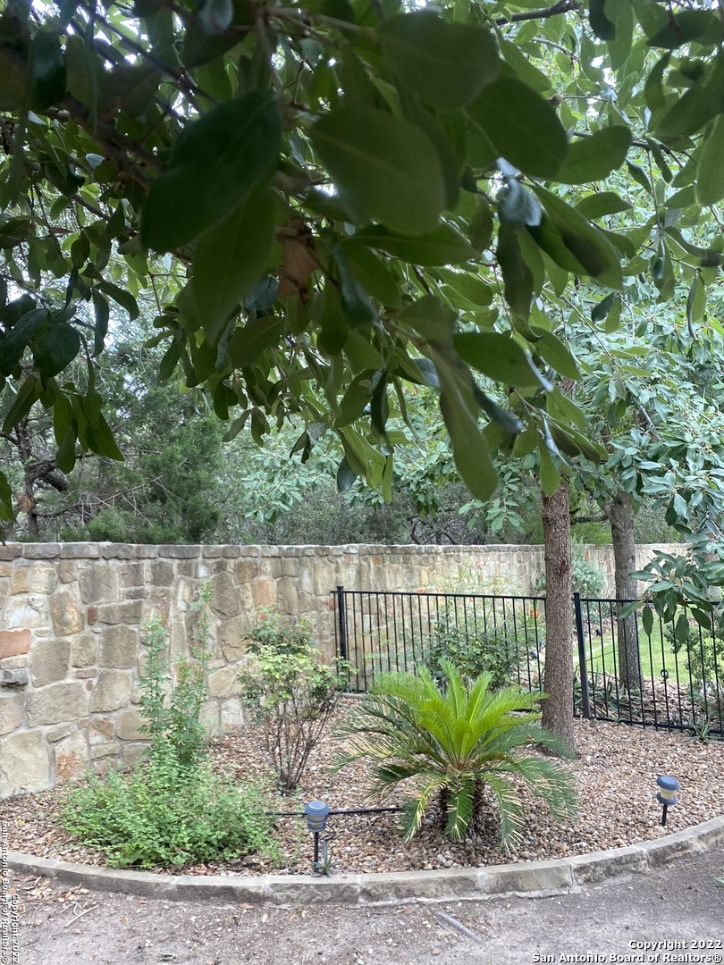 12815 Sand Holly San Antonio TX 78253