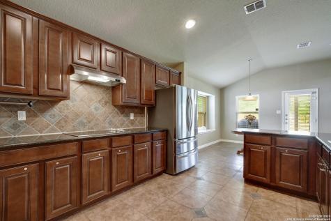 13307 Biltmore Lakes Live Oak TX 78233
