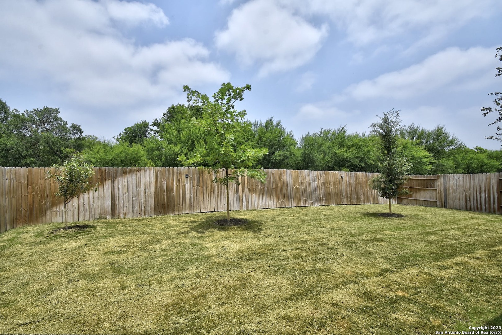 13307 Biltmore Lakes Live Oak TX 78233