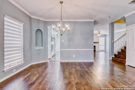 22503 Madison Park San Antonio TX 78260