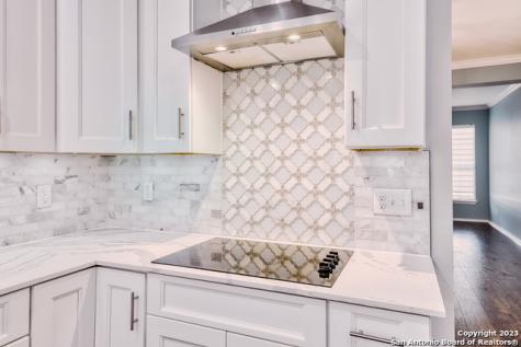 22503 Madison Park San Antonio TX 78260