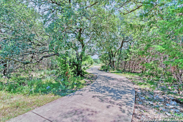 22503 Madison Park San Antonio TX 78260