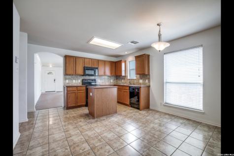319 Willow Grove San Antonio TX 78245