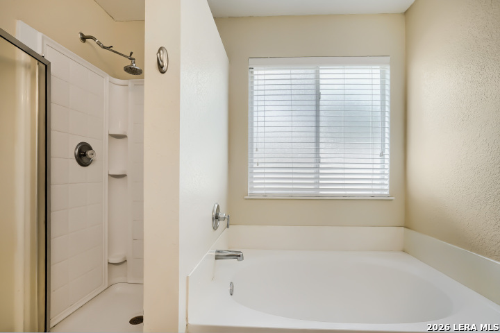 8015 Ashwood Pointe San Antonio TX 78254