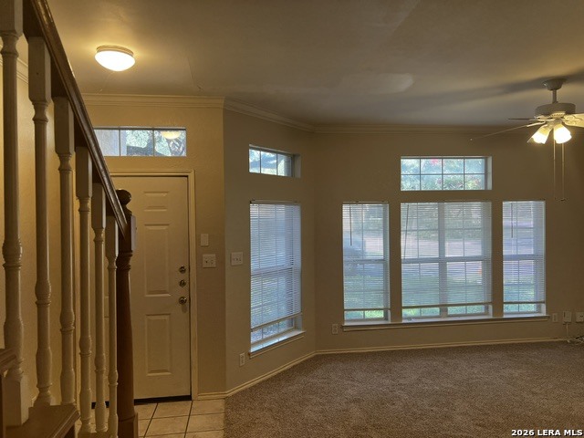 8733 Wickersham San Antonio TX 78254